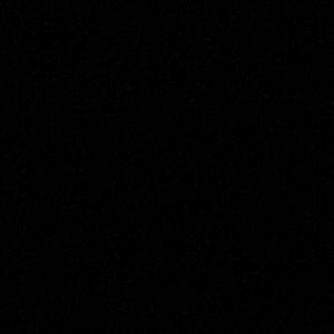 Meet your Posher, Bernard